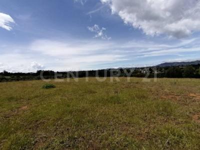 La Ceja, Antioquia 00001, Colombia