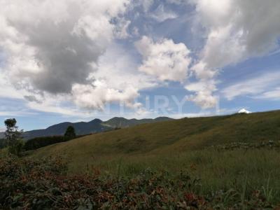 La Ceja, Antioquia 00001, Colombia
