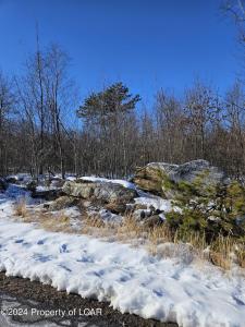 254 Buck Mountain Boulevard, Hazle Twp, Pensilvania 18202, Estados Unidos