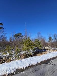 254 Buck Mountain Boulevard, Hazle Twp, Pensilvania 18202, Estados Unidos