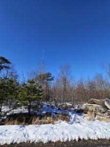 254 Buck Mountain Boulevard, Hazle Twp, Pensilvania 18202, Estados Unidos