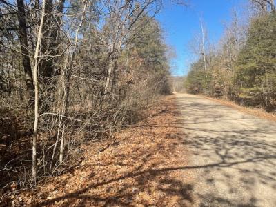 000 N Hillside Street, Shell Knob, Missouri 65747, HOA KỲ