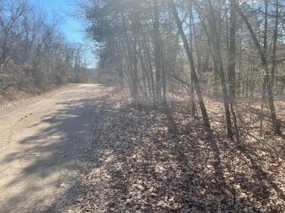 000 N Hillside Street, Shell Knob, Missouri 65747, HOA KỲ