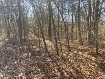 000 N Hillside Street, Shell Knob, Missouri 65747, HOA KỲ