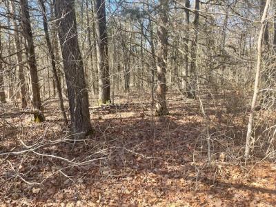 000 N Hillside Street, Shell Knob, Missouri 65747, HOA KỲ