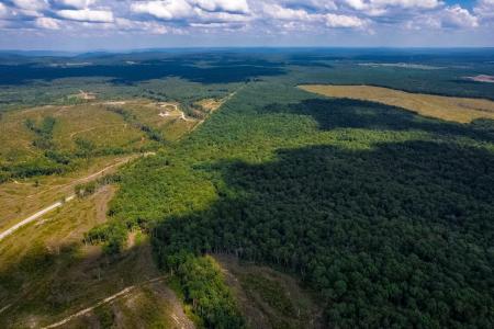 16226 SR 50, Altamont, Tennessee 37301, Amerika Birleşik Devletleri