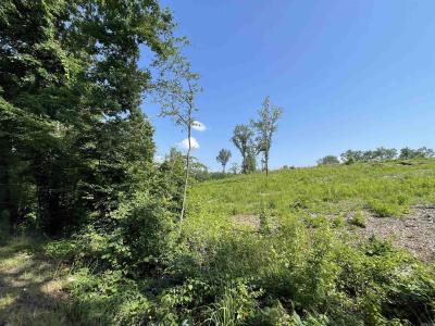 Lot 4 Highway 5, Benton, Arkansas 72019, États-Unis