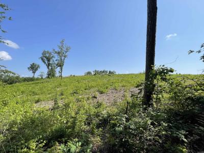 Lot 4 Highway 5, Benton, Arkansas 72019, États-Unis