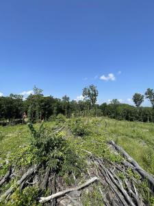 Lot 4 Highway 5, Benton, Arkansas 72019, États-Unis