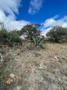 Hacienda Real 1800 Lote 75, Manzana XXXV, Sección 1ra,, Huichapan, 伊達爾戈 42430, 墨西哥