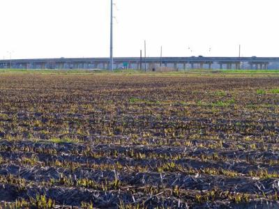 1330 Northwest Blvd, Franklin, Louisiana 70538, USA