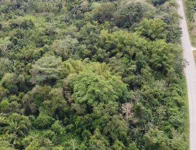 Toledo District, Toledo 00001, Belize