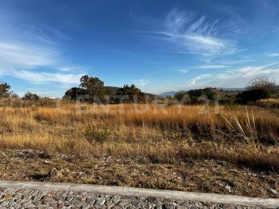 circuito el potrero lote 17,, Amozoc, פואבלה 72998, מקסיקו