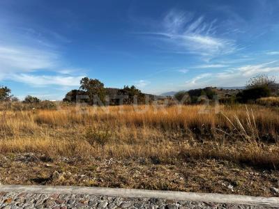 circuito el potrero lote 17,, Amozoc, פואבלה 72998, מקסיקו