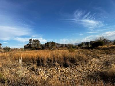 circuito el potrero lote 17,, Amozoc, פואבלה 72998, מקסיקו