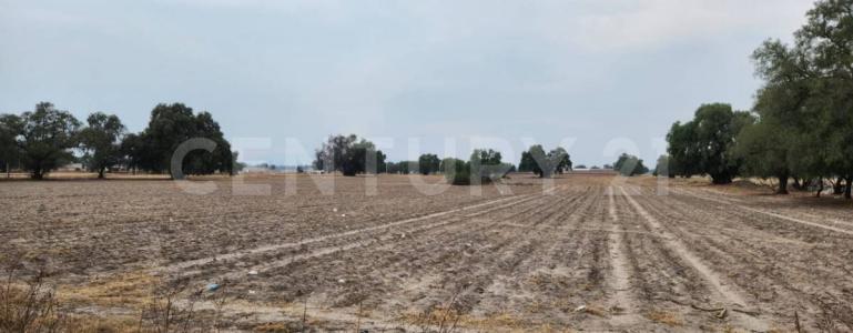 Zumpango, Estado De Mexico 55600, Mexico