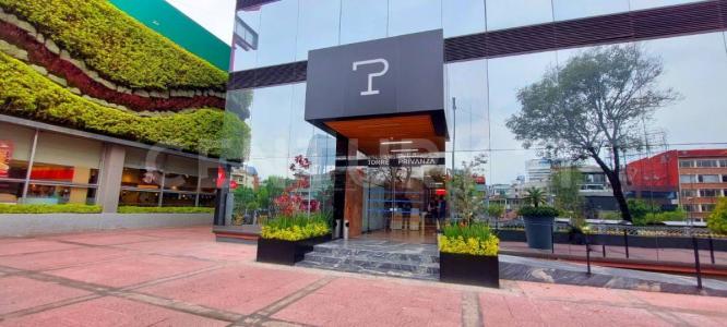 Miguel Hidalgo, Ciudad De México 11300, Messico