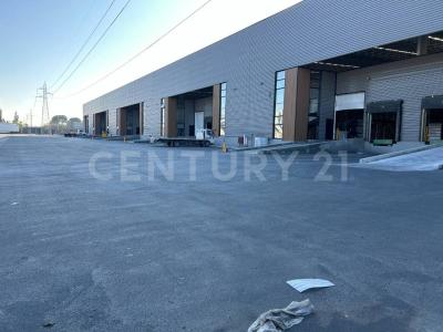 Saltillo, Coahuila 25000, Mexico