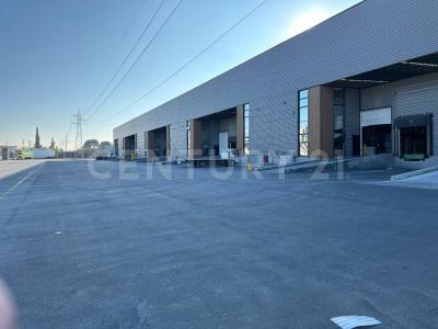 Saltillo, Coahuila 25000, Mexico