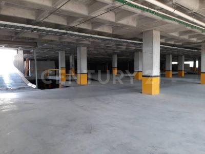 Guadalupe, Nuevo León 67173, Messico
