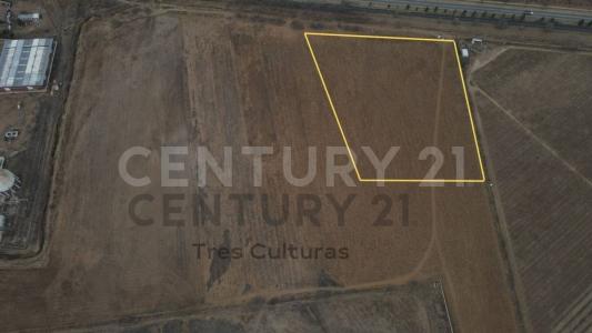 Cuauhtémoc, Chihuahua 31500, Mexico