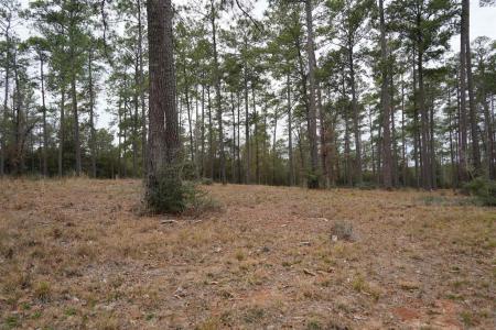 6028 lot 2 PR 6028, Brookeland, Texas 75931, Stati Uniti