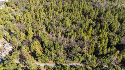 Lazy Z Lane, Sonora, Californie 95370, États-Unis