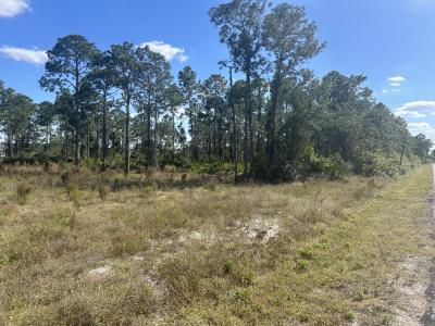 1212 Prospect Avenue, Lehigh Acres, Floride 33972, États-Unis