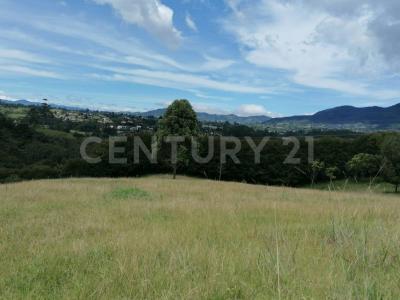 La Ceja, Antioquia 00001, Colombia