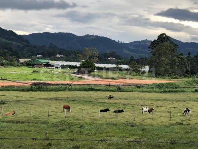 La Ceja, Antioquia 00001, Colombia
