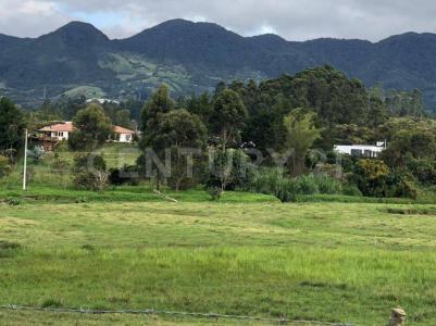 La Ceja, Antioquia 00001, Colombia