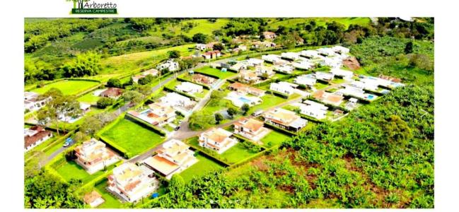 Alrededores Armenia, Quindio 633001, Colombia