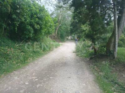 Cachipay, Cundinamarca 00001, Colombia