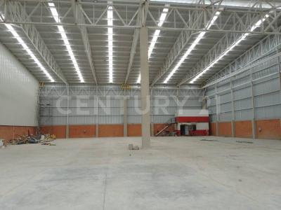 Palmira, 考卡山谷 00001, 哥伦比亚