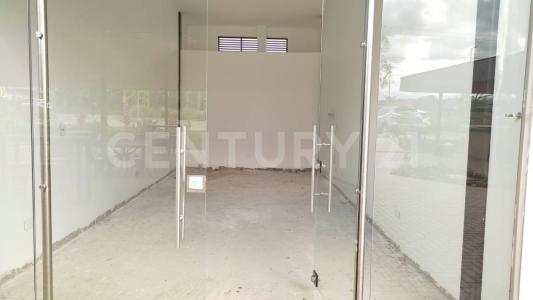 Calarca, Quindío 632001, Colombie