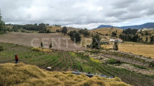 Carmen De Carupa, Cundinamarca 00001, Colombia