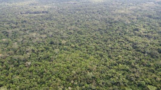 Toledo District, Toledo 00001, Belize