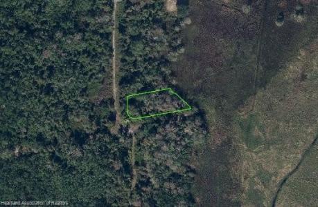 601 Lakesedge Drive, Lake Placid, פלורידה 33852, ארצות הברית של אמריקה 