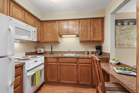 10300 Village Circle Drive , 4407, Palos Park, Illinois 60464