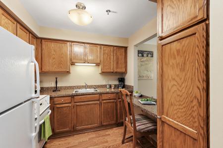 10300 Village Circle Drive , 4407, Palos Park, Illinois 60464