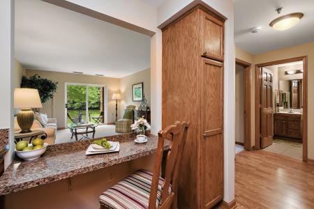 10300 Village Circle Drive , 4407, Palos Park, Illinois 60464