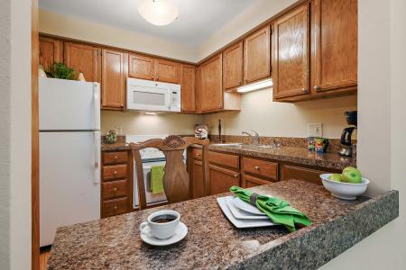 10300 Village Circle Drive , 4407, Palos Park, Illinois 60464, USA