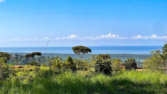 Tres Ríos Puerto Cortés Osa, Puntarenas 00001, Costa Rica