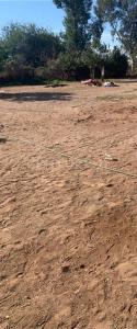 Perimetral Norte 5,, Hermosillo, Sonora 83204, México