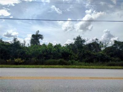 222 Hallmark Avenue, Lake Placid, Florida 33852, Estados Unidos