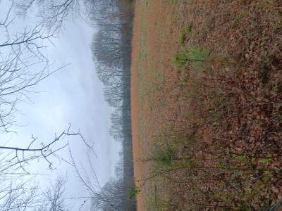 4808 CR 24, Florence, Alabama 35634, USA