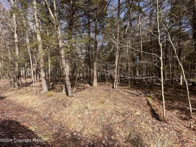 136 KING ARTHUR Road, Pocono Lake, Pennsylvania 18347, Estados Unidos