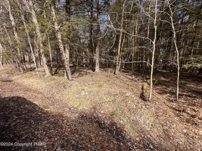 136 KING ARTHUR Road, Pocono Lake, Pennsylvania 18347, Estados Unidos
