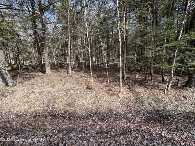 136 KING ARTHUR Road, Pocono Lake, Pennsylvania 18347, Estados Unidos