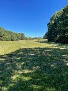 000 E State Hwy Yy, Strafford, Миссури 65757, Соединенные Штаты